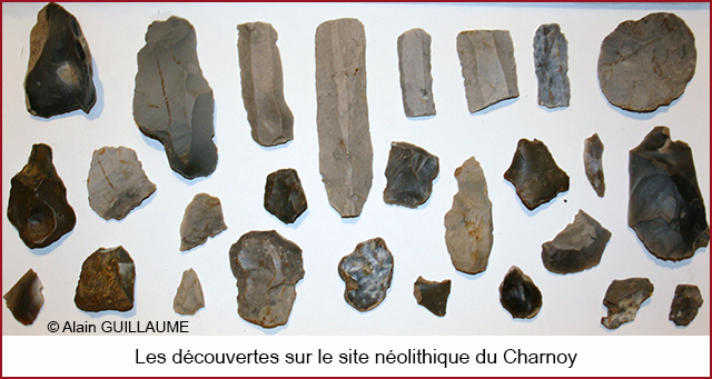 Néolithique du Charnoy 640